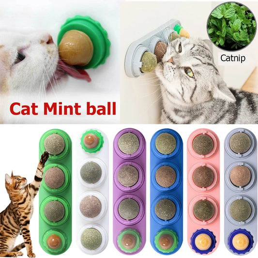 Pet Catnip Toy